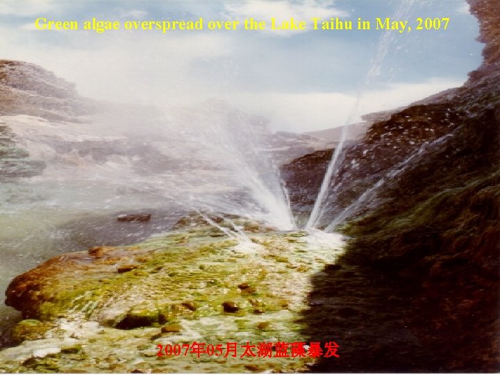 Green algae overspread over the Lake Taihu in May, 2007年 05月太湖蓝藻暴发 Green algae overspread over the Lake Taihu in May, 2007年 05月太湖蓝藻暴发