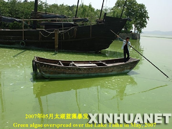 2007年 05月太湖蓝藻暴发 Green algae overspread over the Lake Taihu in May, 2007 2007年 05月太湖蓝藻暴发 Green algae overspread over the Lake Taihu in May, 2007