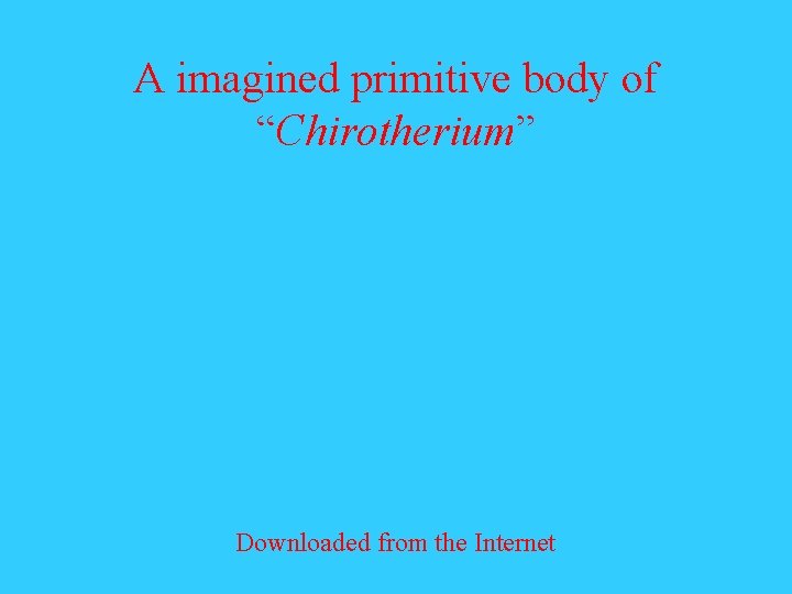 A imagined primitive body of “Chirotherium” Downloaded from the Internet A imagined primitive body of “Chirotherium” Downloaded from the Internet