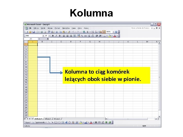 Kolumna to ciąg komórek leżących obok siebie w pionie. 