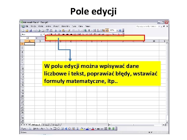 Pole edycji W polu edycji można wpisywać dane liczbowe i tekst, poprawiać błędy, wstawiać