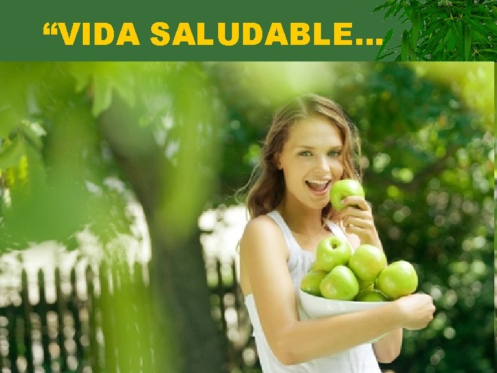 “VIDA SALUDABLE… 