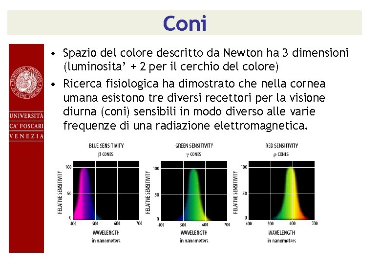 Coni • Spazio del colore descritto da Newton ha 3 dimensioni (luminosita’ + 2