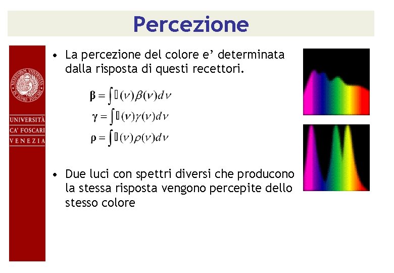 Percezione • La percezione del colore e’ determinata dalla risposta di questi recettori. •