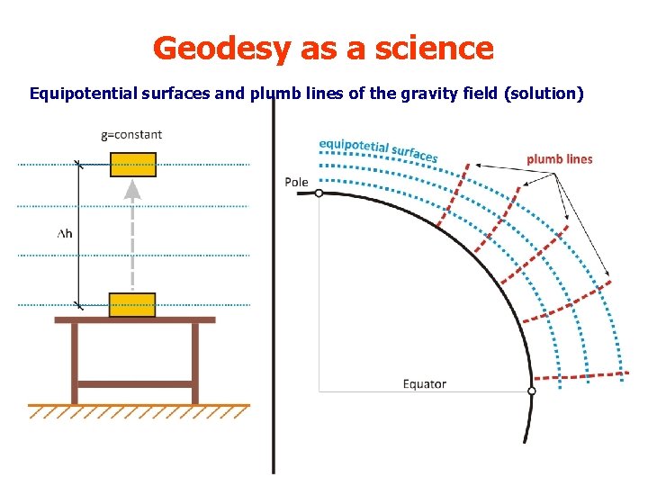 Geodesy as a science Equipotential surfaces and plumb lines of the gravity field (solution)