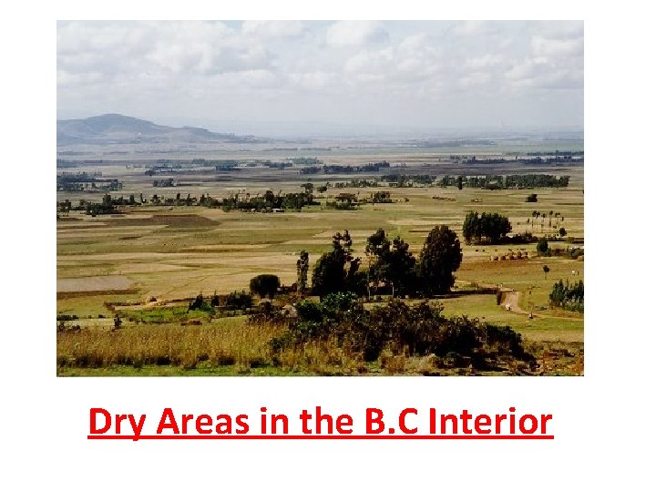 Dry Areas in the B. C Interior 