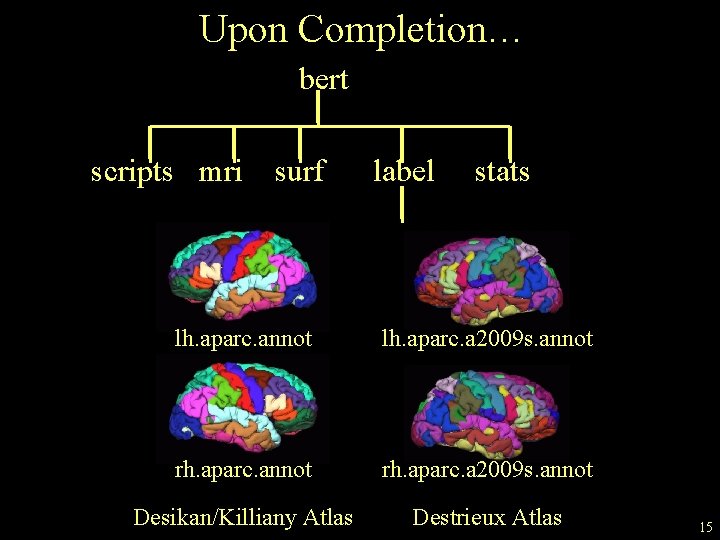 Upon Completion… bert scripts mri surf label stats lh. aparc. annot lh. aparc. a