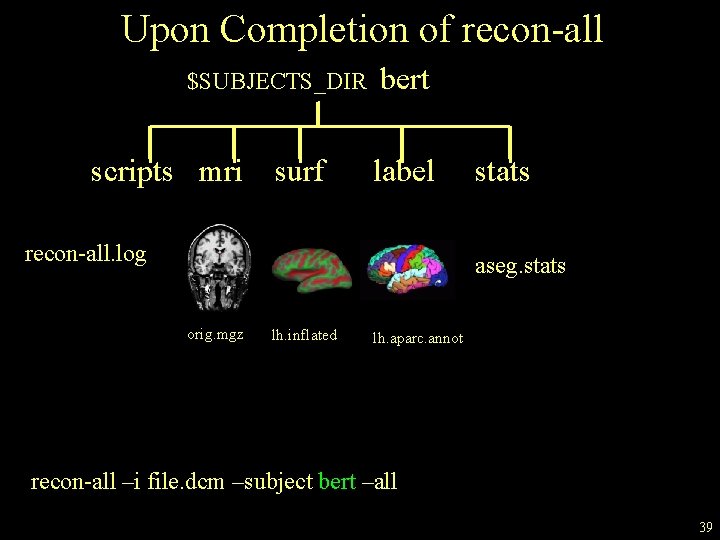 Upon Completion of recon-all $SUBJECTS_DIR /bert scripts mri surf label recon-all. log stats aseg.