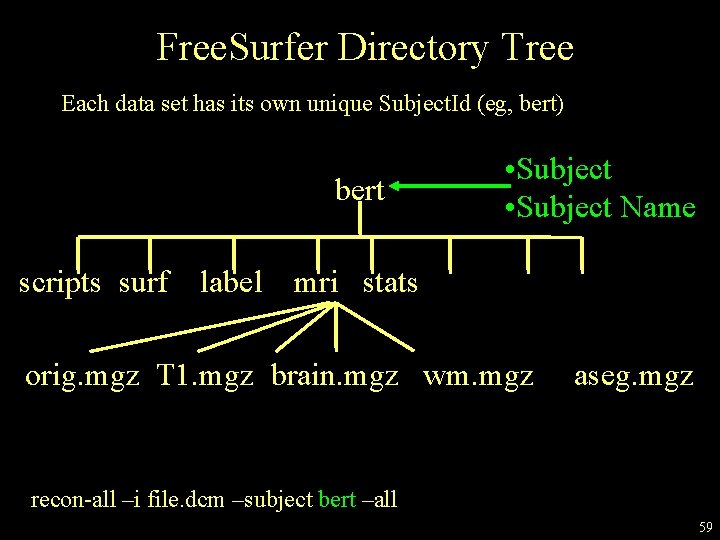 Free. Surfer Directory Tree Each data set has its own unique Subject. Id (eg,