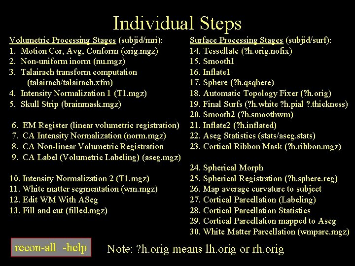 Individual Steps Volumetric Processing Stages (subjid/mri): 1. Motion Cor, Avg, Conform (orig. mgz) 2.