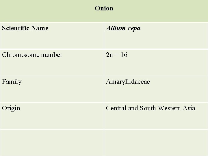 Onion Scientific Name Allium cepa Chromosome number 2 n = 16 Family Amaryllidaceae Origin