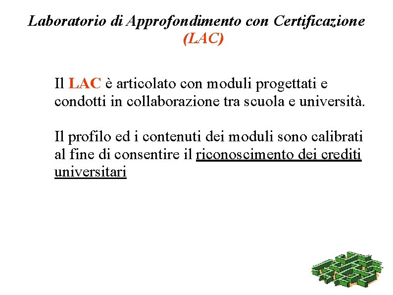 Laboratorio di Approfondimento con Certificazione (LAC) Il LAC è articolato con moduli progettati e
