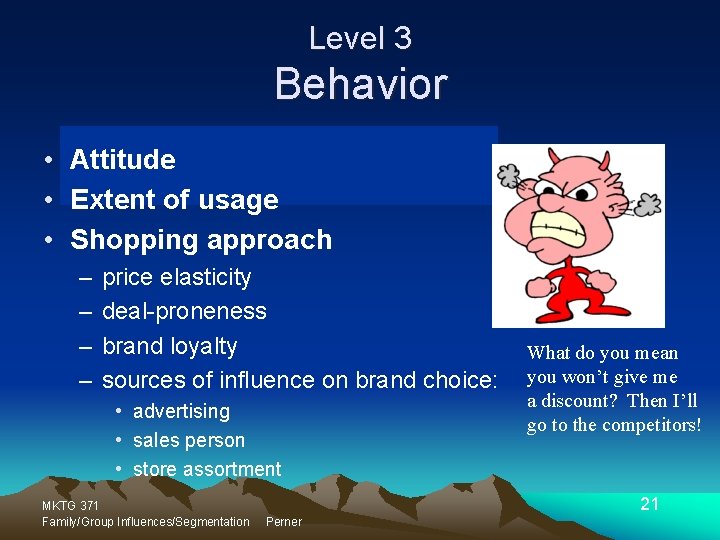 Level 3 Behavior • Attitude • Extent of usage • Shopping approach – –