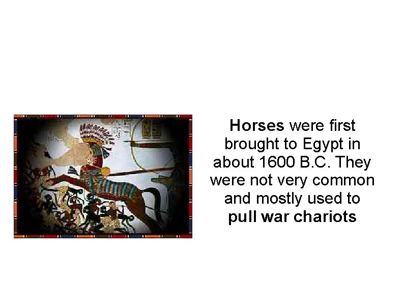 Horses were first brought to Egypt in about 1600 B. C. They were not