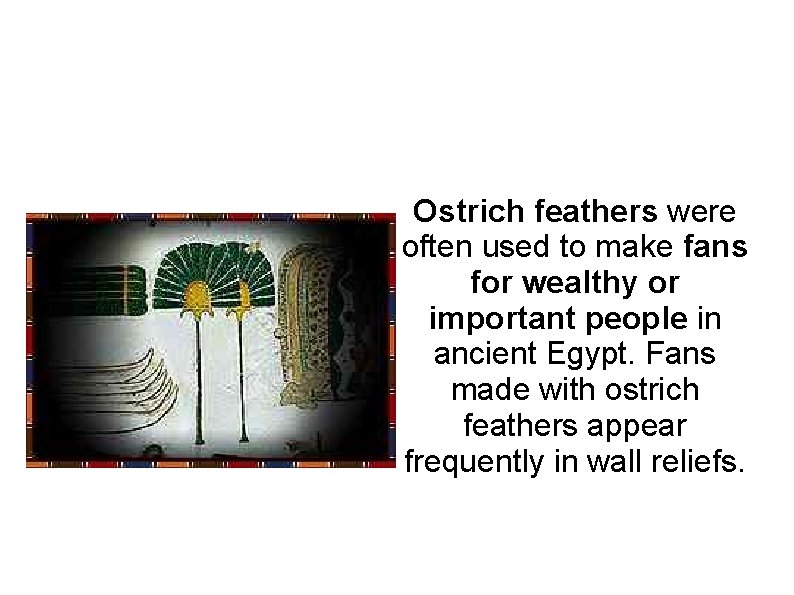 Ostrich feathers were often used to make fans for wealthy or important people in