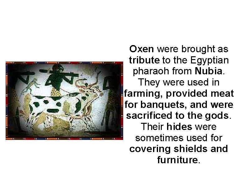 Oxen were brought as tribute to the Egyptian pharaoh from Nubia. They were used