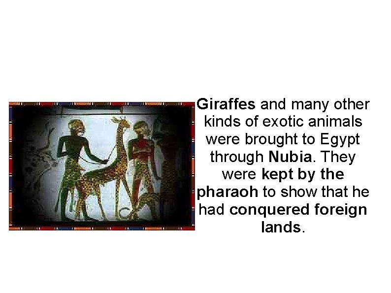 Giraffes and many other kinds of exotic animals were brought to Egypt through Nubia.