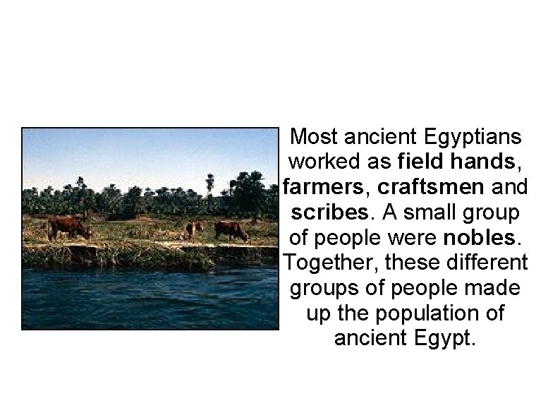 Most ancient Egyptians worked as field hands, farmers, craftsmen and scribes. A small group