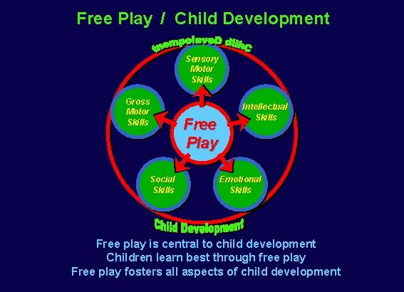 Free Play / Child Development Sensory Motor Skills Gross Motor Skills Social Skills Free