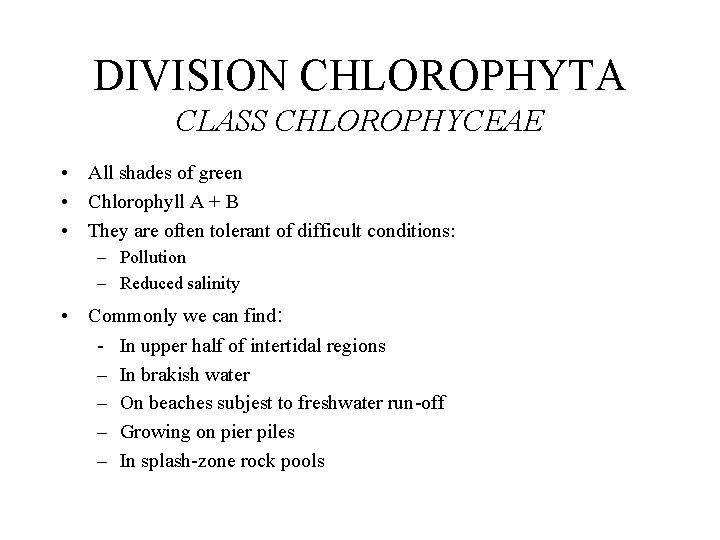 DIVISION CHLOROPHYTA CLASS CHLOROPHYCEAE • All shades of green • Chlorophyll A + B