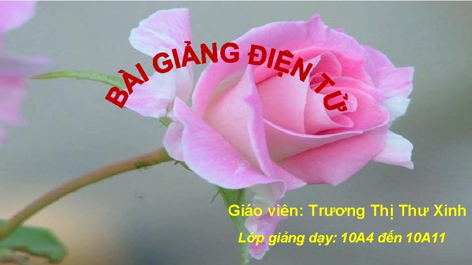 Giáo viên: Trương Thị Thư Xinh Lớp giảng dạy: 10 A 4 đến 10