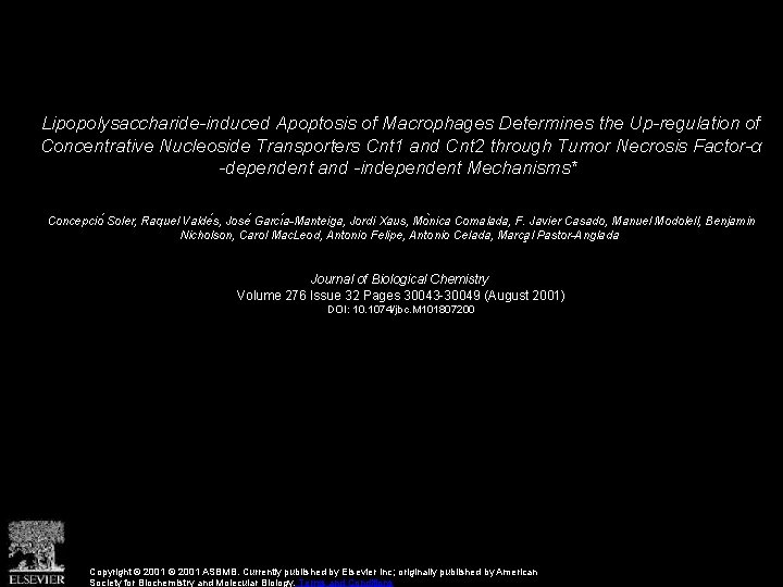 Lipopolysaccharide-induced Apoptosis of Macrophages Determines the Up-regulation of Concentrative Nucleoside Transporters Cnt 1 and