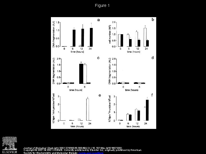 Figure 1 Journal of Biological Chemistry 2001 27630043 -30049 DOI: (10. 1074/jbc. M 101807200)