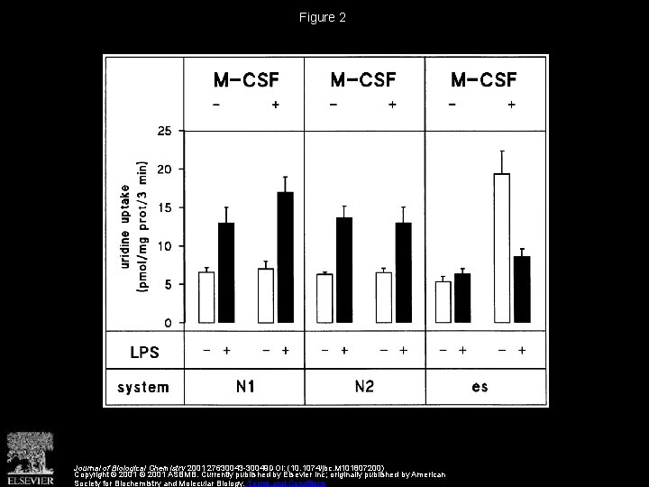 Figure 2 Journal of Biological Chemistry 2001 27630043 -30049 DOI: (10. 1074/jbc. M 101807200)