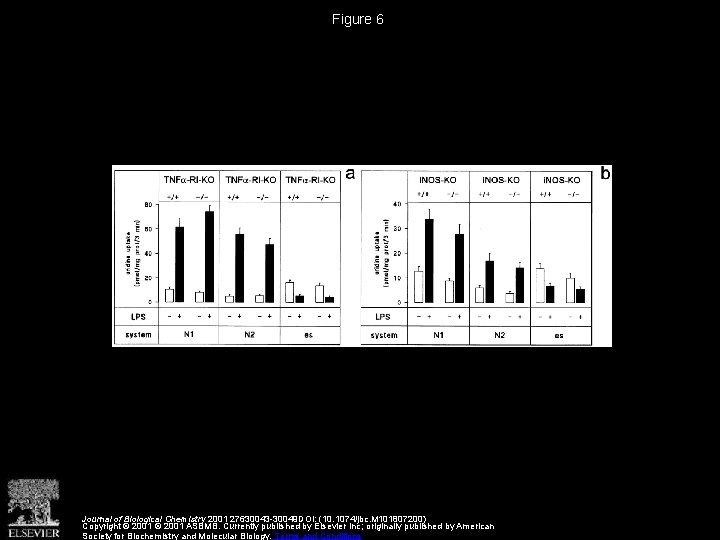 Figure 6 Journal of Biological Chemistry 2001 27630043 -30049 DOI: (10. 1074/jbc. M 101807200)