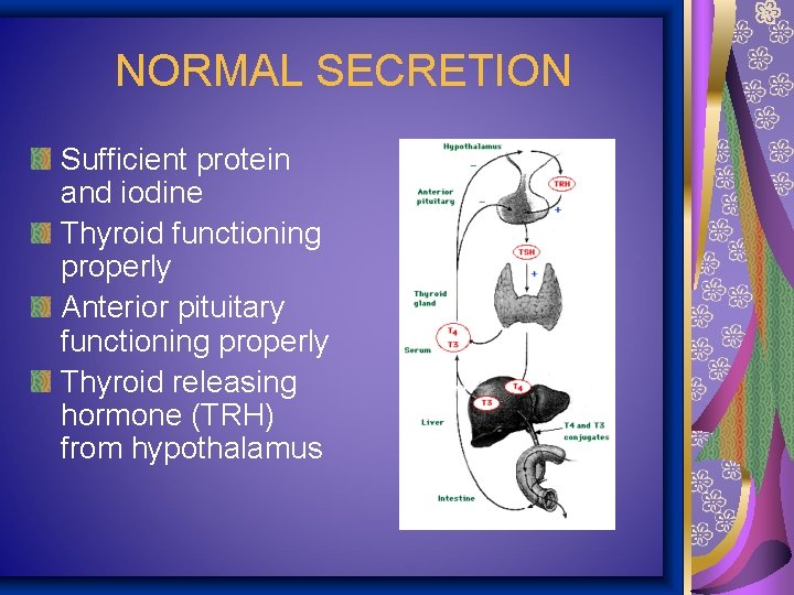 NORMAL SECRETION Sufficient protein and iodine Thyroid functioning properly Anterior pituitary functioning properly Thyroid