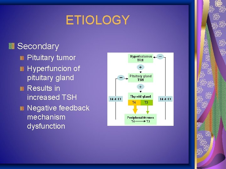 ETIOLOGY Secondary Pituitary tumor Hyperfuncion of pituitary gland Results in increased TSH Negative feedback