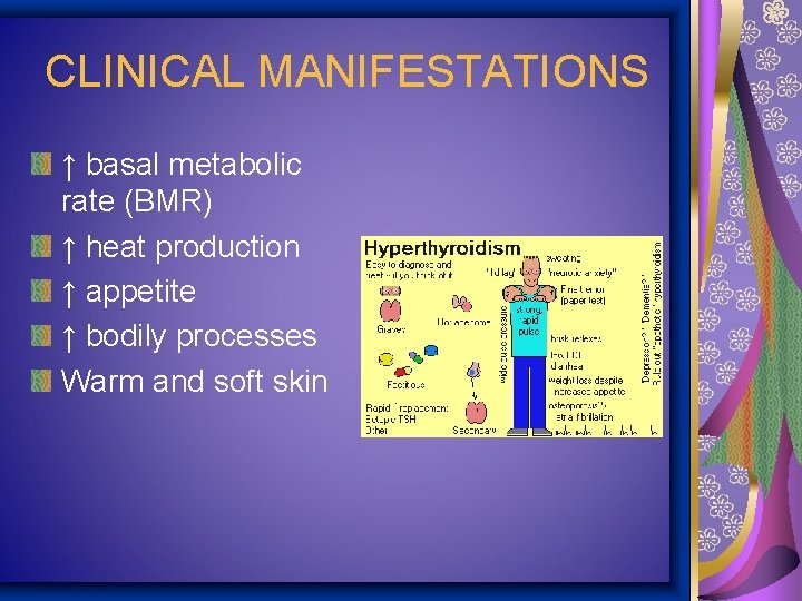 CLINICAL MANIFESTATIONS ↑ basal metabolic rate (BMR) ↑ heat production ↑ appetite ↑ bodily