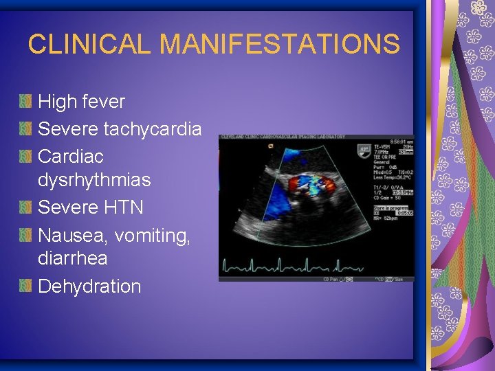 CLINICAL MANIFESTATIONS High fever Severe tachycardia Cardiac dysrhythmias Severe HTN Nausea, vomiting, diarrhea Dehydration