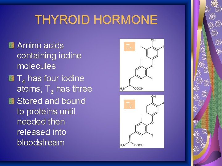 THYROID HORMONE Amino acids containing iodine molecules T 4 has four iodine atoms, T