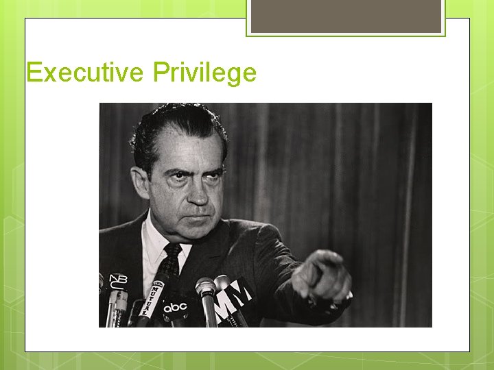 Executive Privilege 