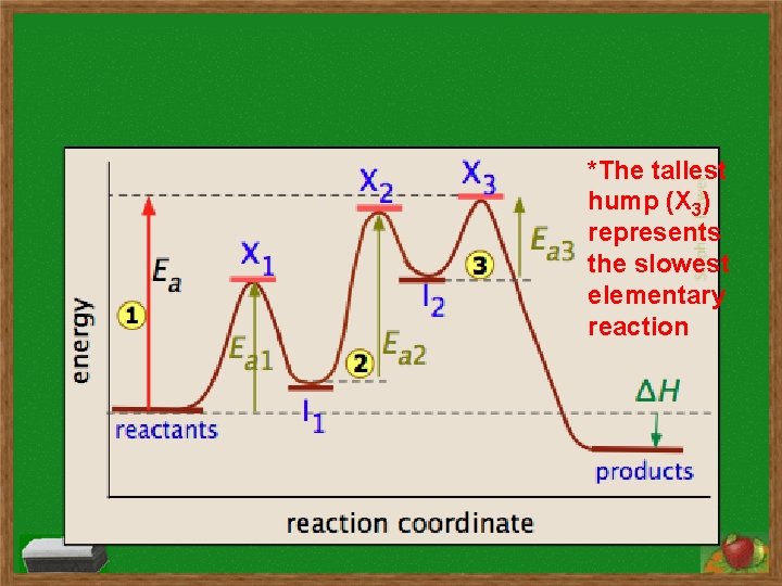 *The tallest hump (X 3) represents the slowest elementary reaction *The tallest hump (X 3) represents the slowest elementary reaction