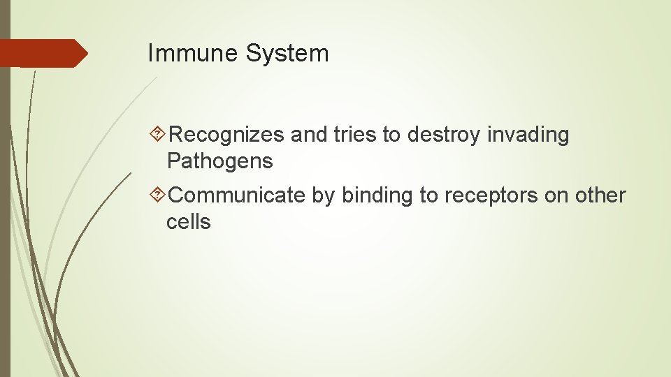 Immune System Recognizes and tries to destroy invading Pathogens Communicate by binding to receptors