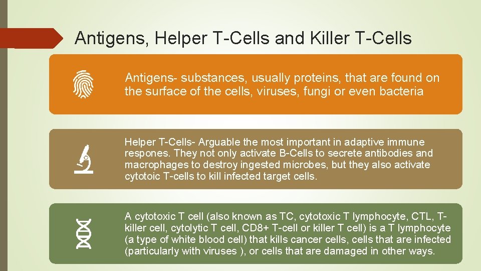 Antigens, Helper T-Cells and Killer T-Cells Antigens- substances, usually proteins, that are found on