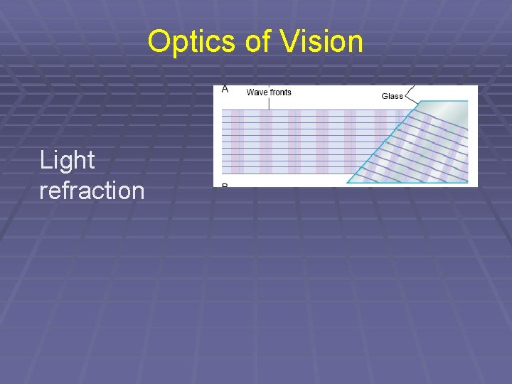 Optics of Vision Light refraction 