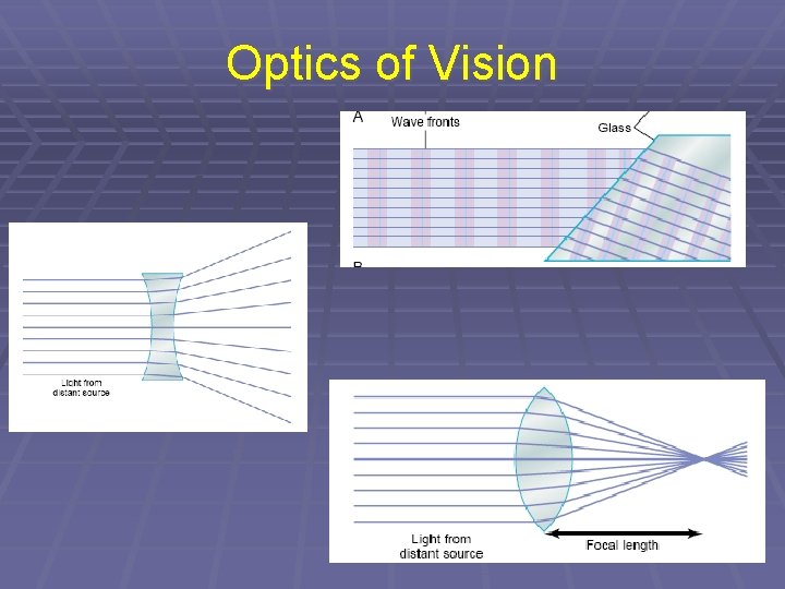 Optics of Vision 