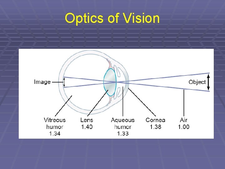 Optics of Vision 
