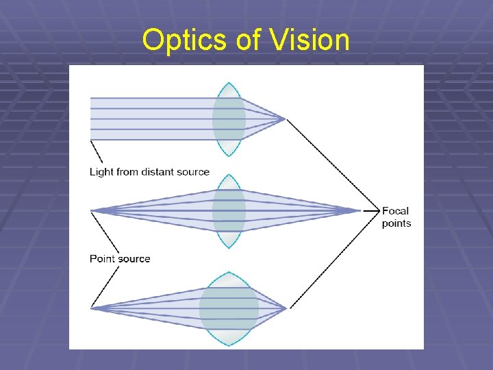 Optics of Vision 