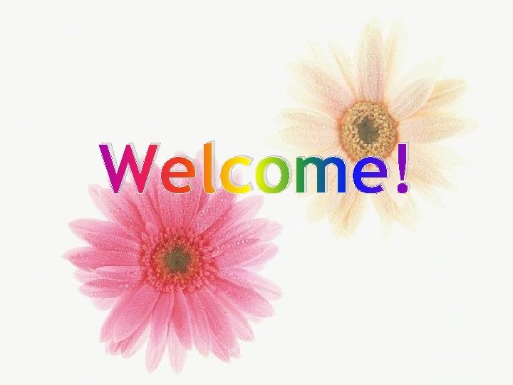 Welcome! 