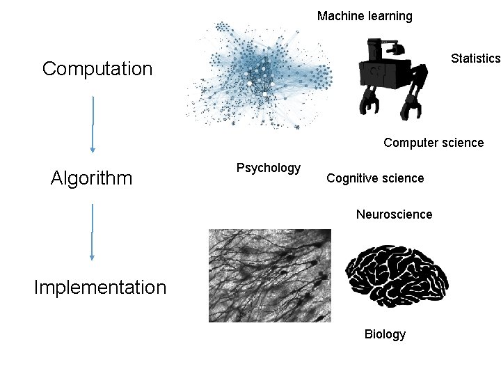 Machine learning Statistics Computation Computer science Algorithm Psychology Cognitive science Neuroscience Implementation Biology 