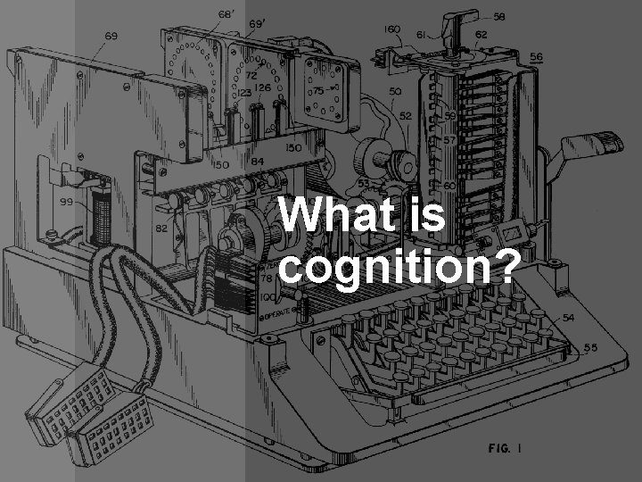 What is cognition? 