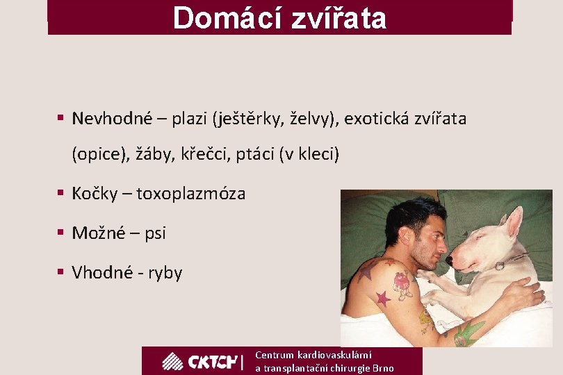 Domácí zvířata § Nevhodné – plazi (ještěrky, želvy), exotická zvířata (opice), žáby, křečci, ptáci