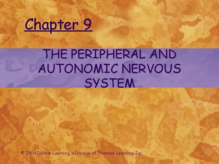 Chapter 9 THE PERIPHERAL AND AUTONOMIC NERVOUS SYSTEM