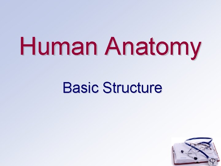 Human Anatomy Basic Structure 