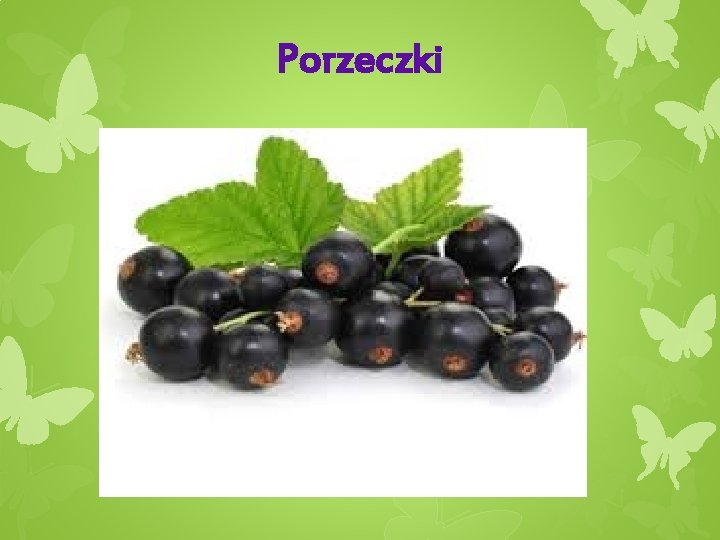 Porzeczki 