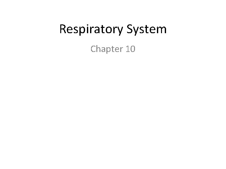 Respiratory System Chapter 10 